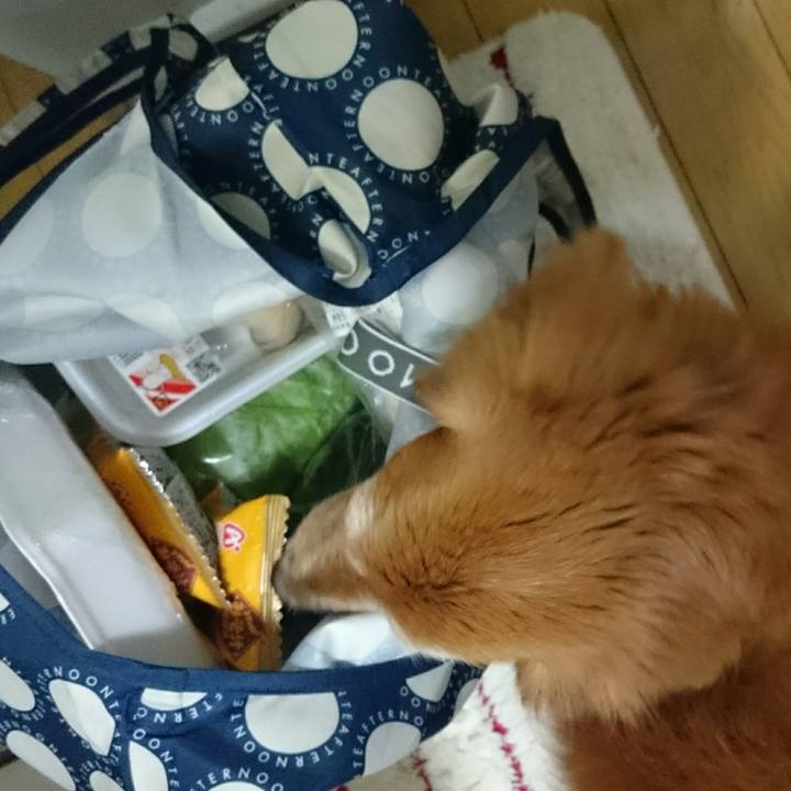 574f4eff bec5 4805 9065 ec855fa46e90