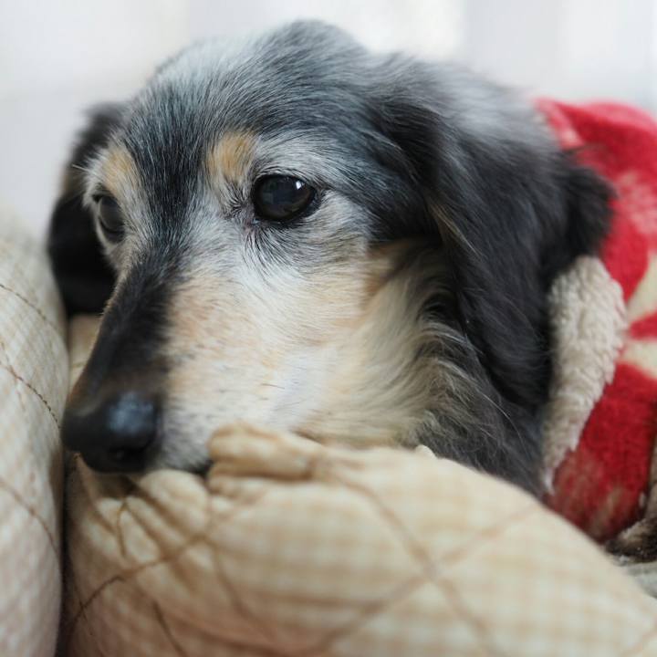 57506b61 d082 4f0b 94e7 daa811ce4d4c