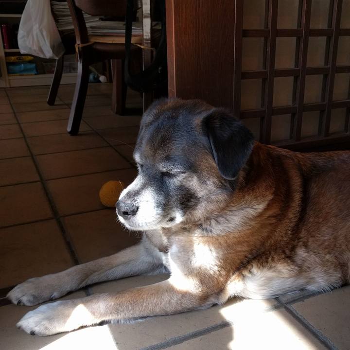 57508bef a67e 49f5 a304 1bf9d9c7ca09