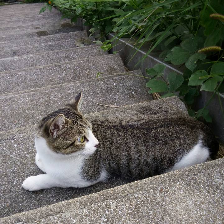 57508e12 3b8d 4fa1 a3e5 98e7b732f5a2