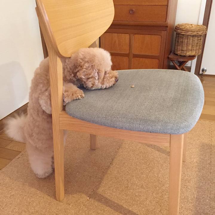 575091d1 8e0a 455b 8633 3d0cb3b095ac