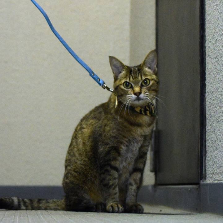 5750a588 ad26 4b2a 8ec1 7c91cd8dce30