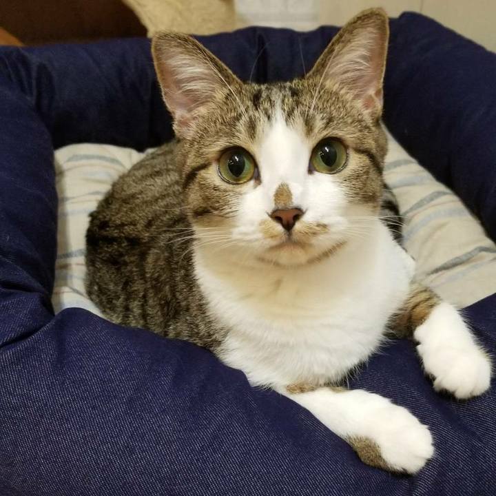 5750e45e bbd3 4acf 8e8e 838a5e2a43b9