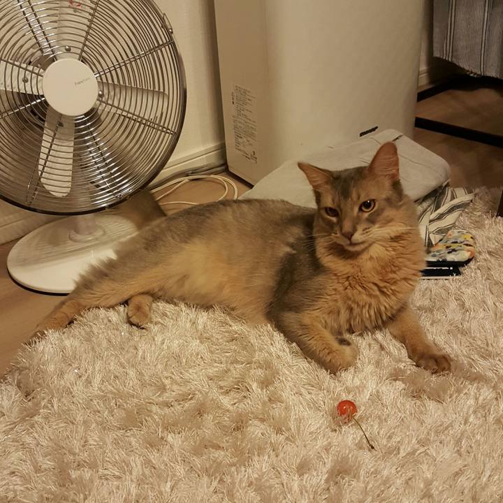 5751f3b7 9483 4265 a936 e0a22ca82f1a