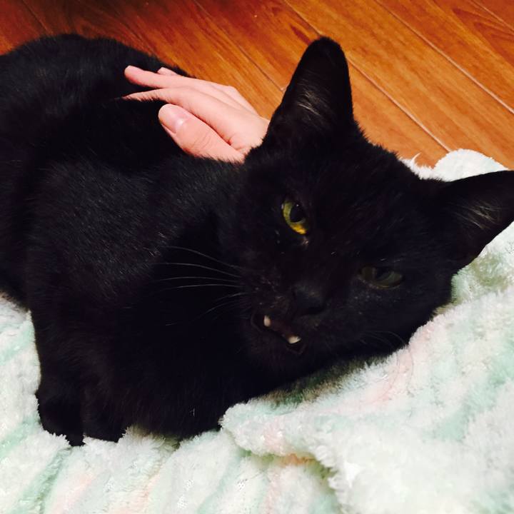 57524bbc c149 4640 adfb 46e92bba4d5c