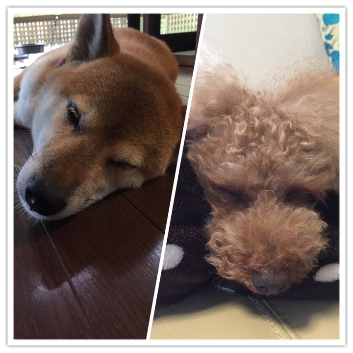 5752996b ae08 4e8c 846a 6a94990a15aa