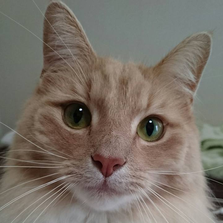 5752e1d2 3069 49af 8f20 cc96eeff4403