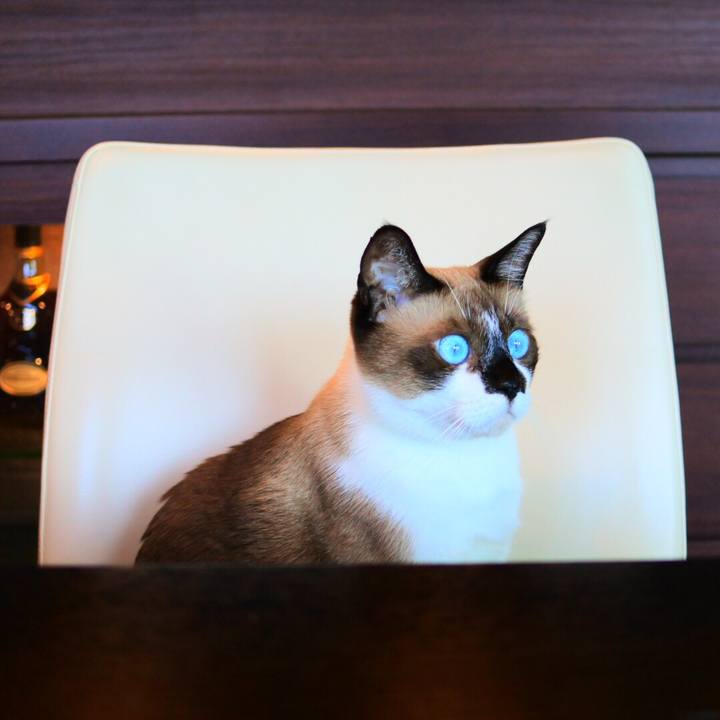 57532c4c 6a96 48fe b9d2 c8446621c6c0