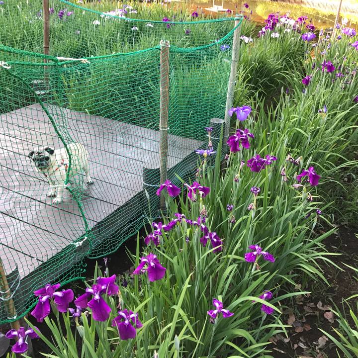 57535156 5231 4080 b672 0a5a245369d9