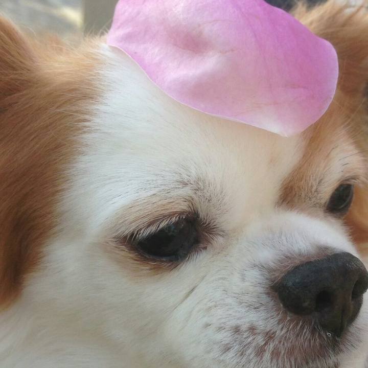 5753833e 23f7 43e4 8104 f43a16c16fb1