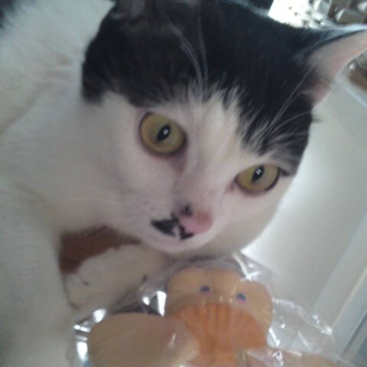 5753b441 5bf5 4791 8737 60b5482ba46d