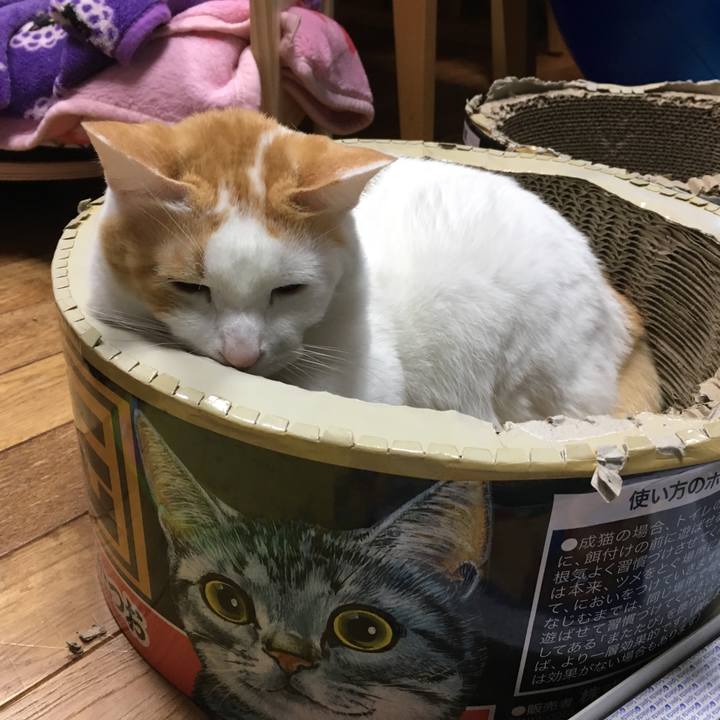 57543197 64e9 4df3 8e93 832307976ef4