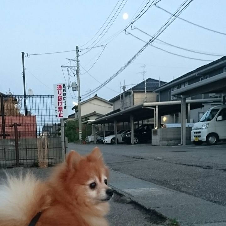 57548147 e00f 4134 8ab7 4caaa5e5da10