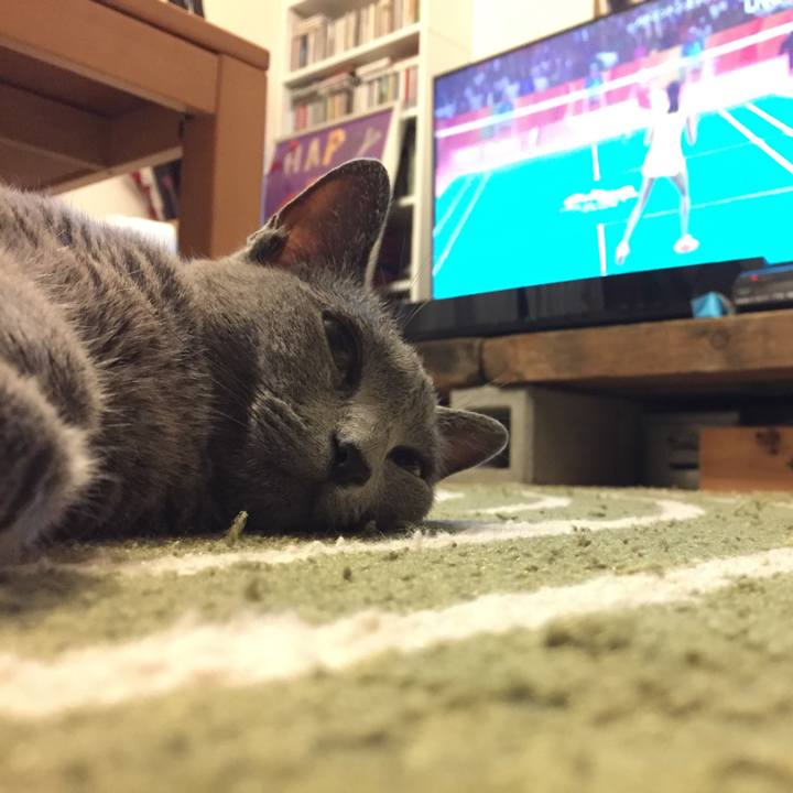 5755ac7f 4994 447a a88d 04f5de8ec84f