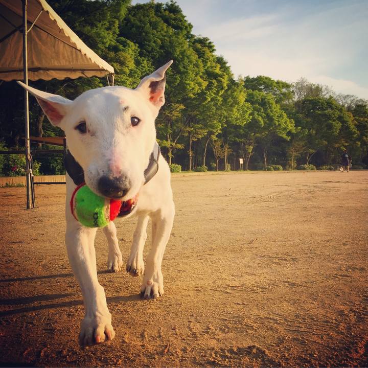 5755f53e b46a 4633 a35a 02866cffd740