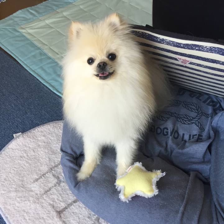 5756c914 354d 4e1c abb4 335620a619b4