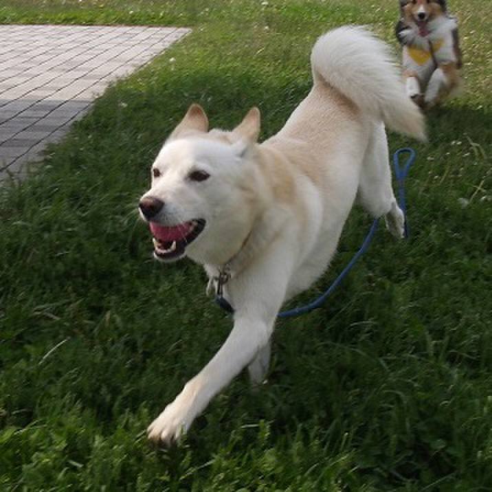 57572e7e 6541 408d a26c 9f28ecf6e009