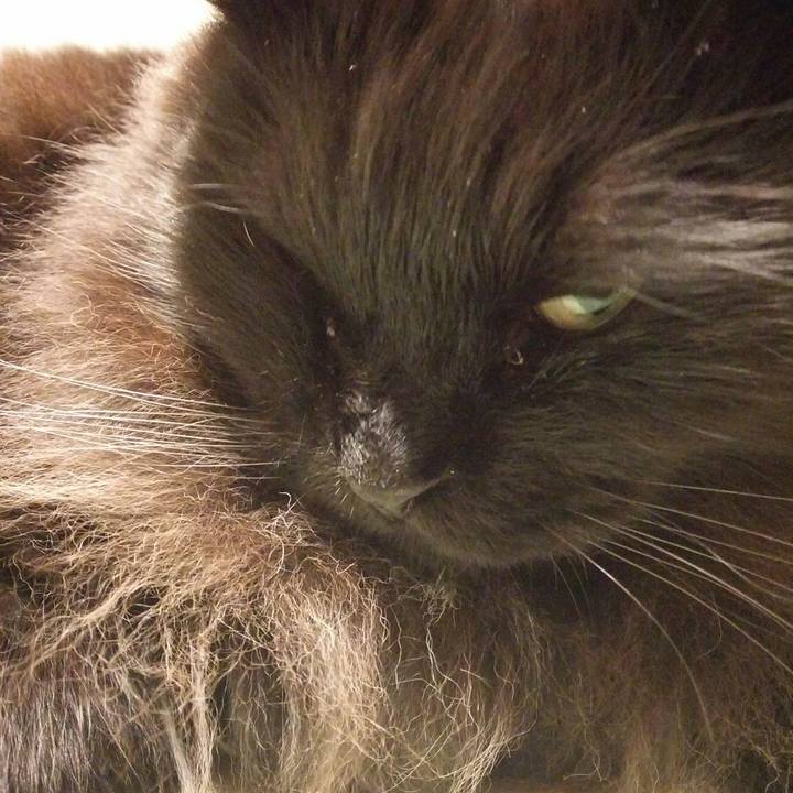 5757355a 5b3a 41dc ae75 969d77e57d04