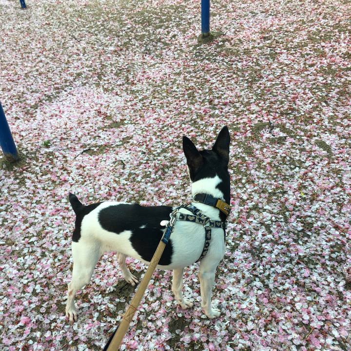 5757a3c7 fff9 445a 9d17 7a7e313aee7a