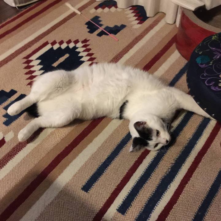 5757fa0e 04c4 4a8c b825 044face19de7