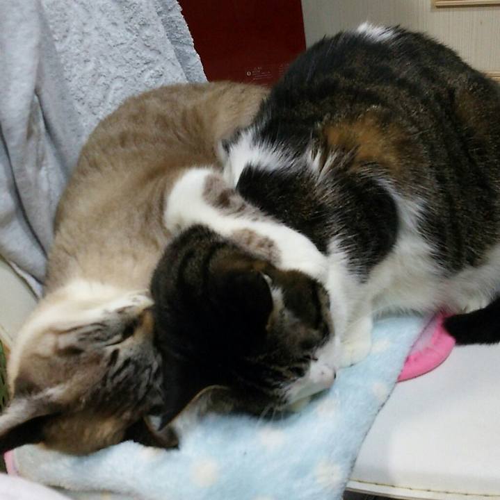 5758444b 7718 4051 8e25 0930b438fc8d