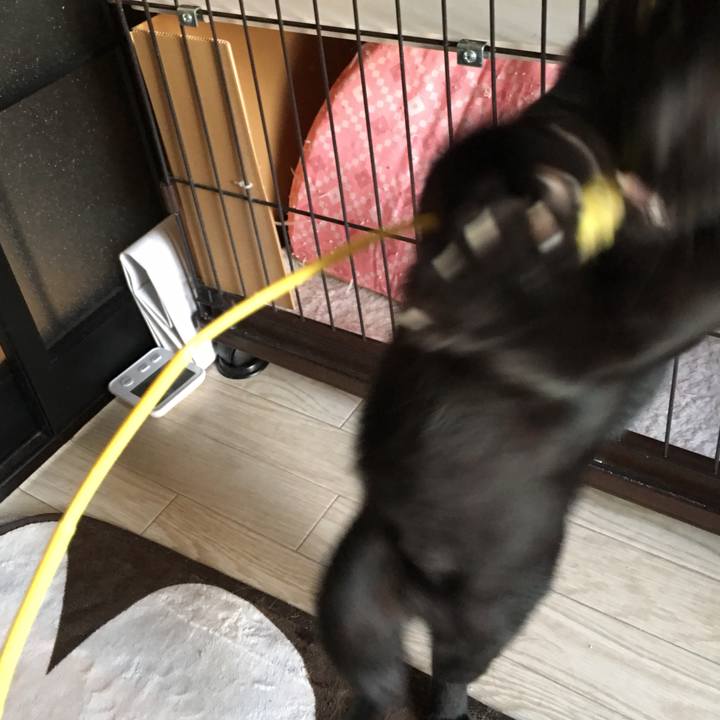 5758af4d 034d 47aa 897d 34be684407d9