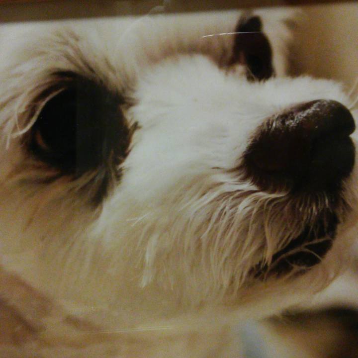 5759294d dc9e 4a9f 9a80 3595a0bb3d47