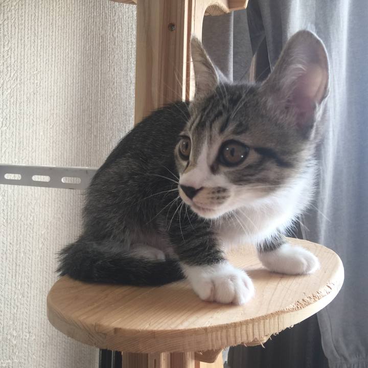 57592e3c 5c42 4a71 ae3f 6ac8d5eb1538