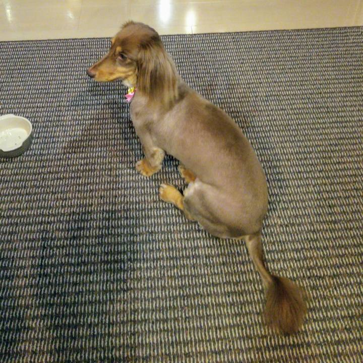 57595434 5349 4729 9fba 1134b008cb88