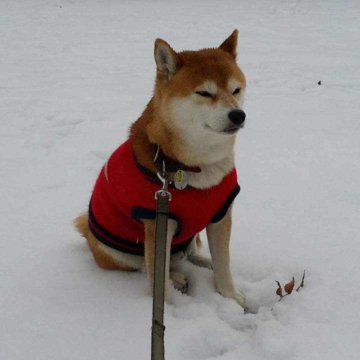 57596686 7cbe 4ad4 9ed6 75022a1d3716