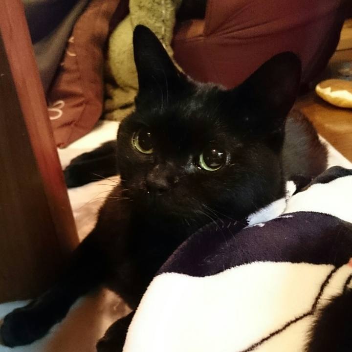 5759a5a4 ee0b 48e3 aaed 5783883449f6