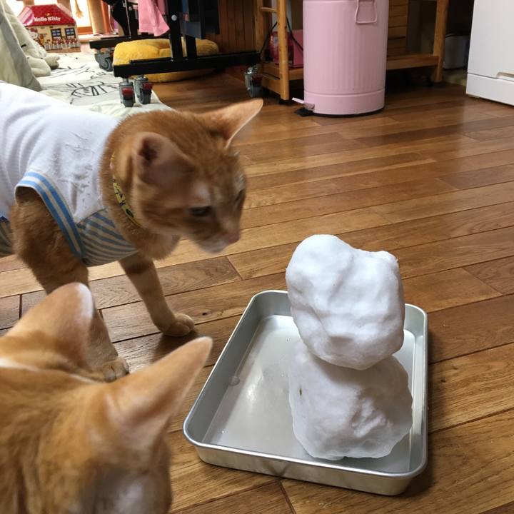 5759ca38 c495 4d2f 9391 09ea8cb8bdfd