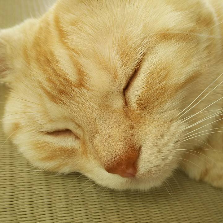 5759e03e 7f36 4650 bc63 69180a90c36d