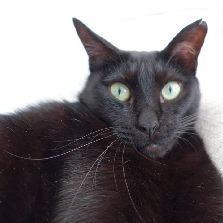 5759e38d cb0d 4d06 85ac e8e0321a827e