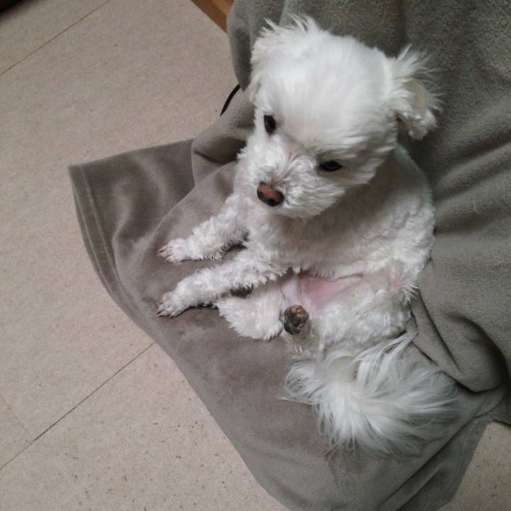 575a0e08 9b55 4d15 86b4 afc4e8a0f124