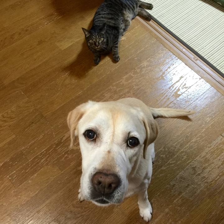 575a4c37 67f6 4504 9b11 ed226e6e8f01