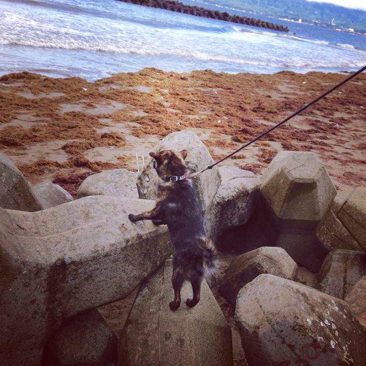 575ad419 5639 4390 aa76 a900bc581d5f