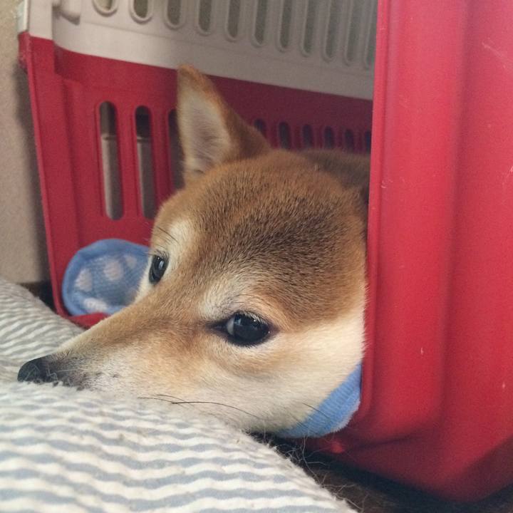 575ae6fc 2ec4 491d 888f 8e4cb5b9ad28