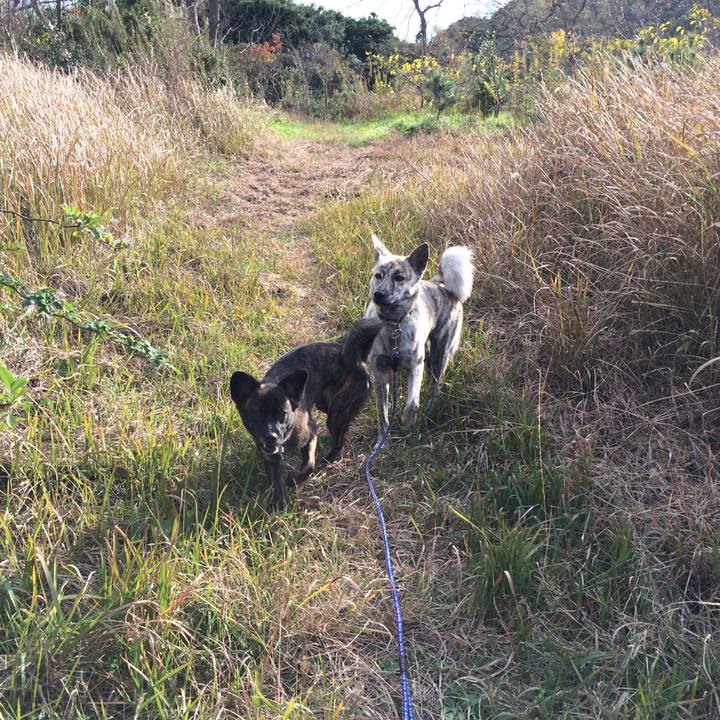 575aec61 fb87 46ab b509 e2507bfbe7ed