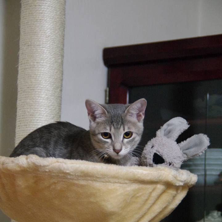 575bea29 560c 49a8 9a84 c2121a16c9e5