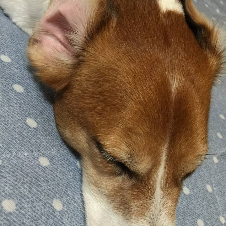 575cc489 4911 4d98 afca a933d024d302