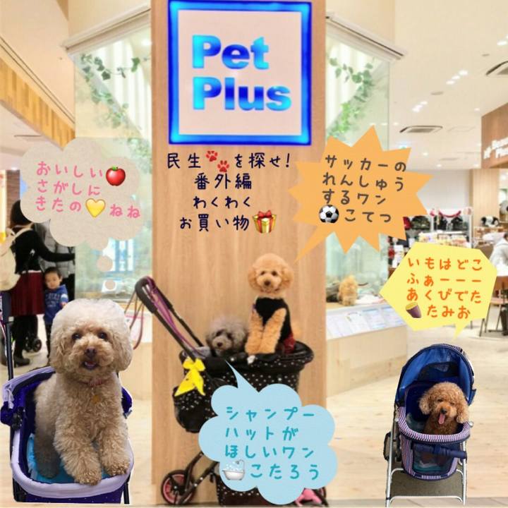 575cfcd8 0cb1 4af8 971d 69f1836260f4