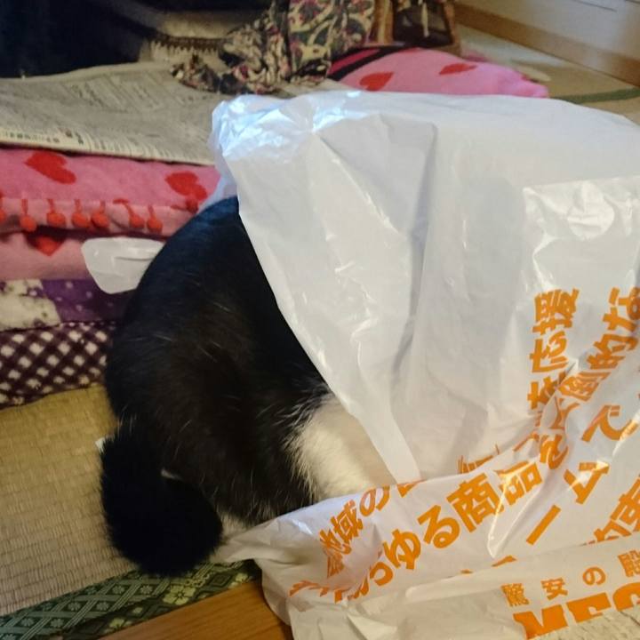 575d0901 fca2 4374 b914 d20bef5f0f10