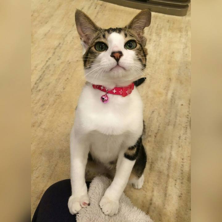 575d2118 fe08 49b9 aebf 474d4af4bbe1