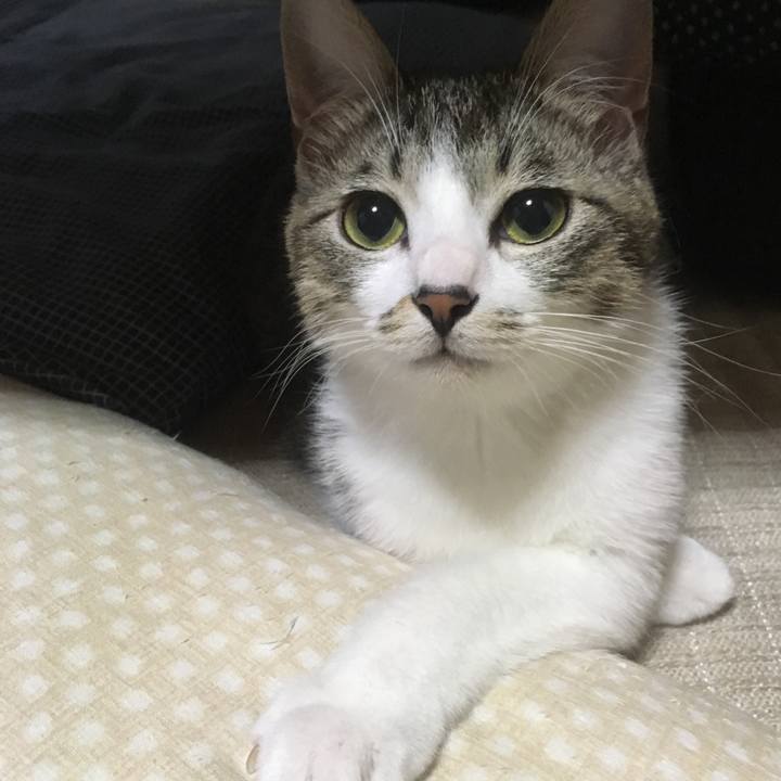 575d97ff bc9f 452c 9078 1533b2c2adcb