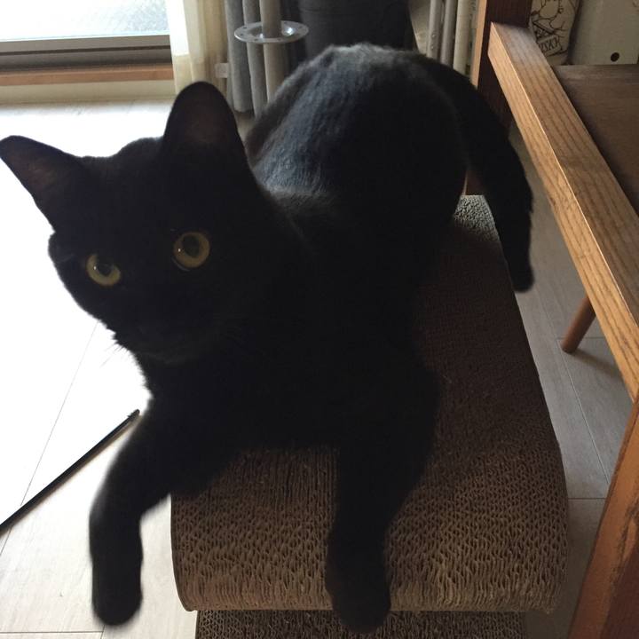 575dd301 819a 4682 8842 90f58477ce77