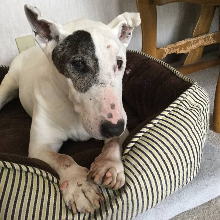 575ef15c 3ff0 4d72 801b 42682b960f6c