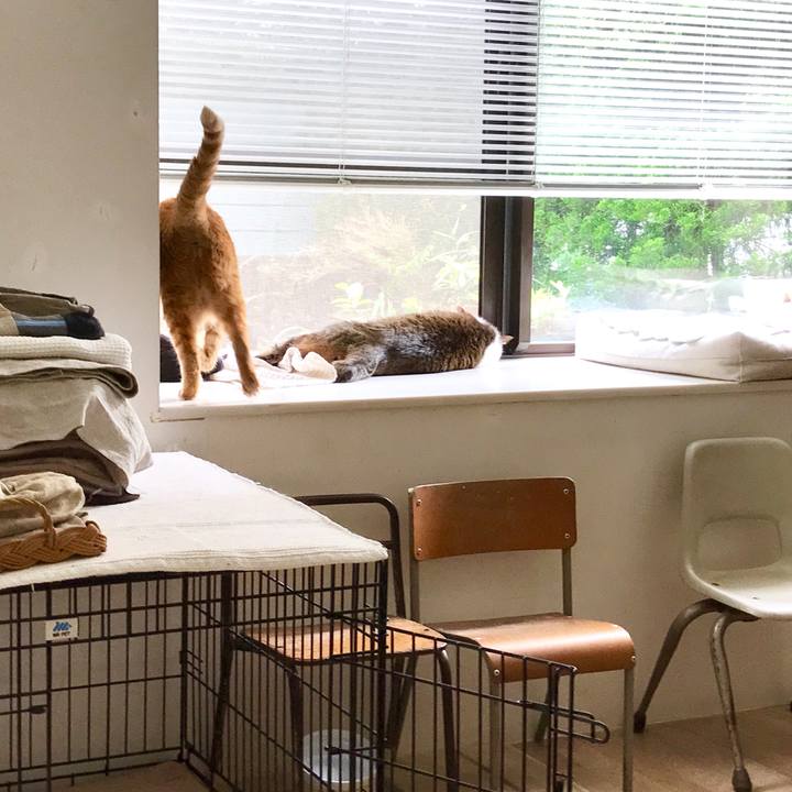 575f7e2f 6c75 404f b82c 5072d5830c41