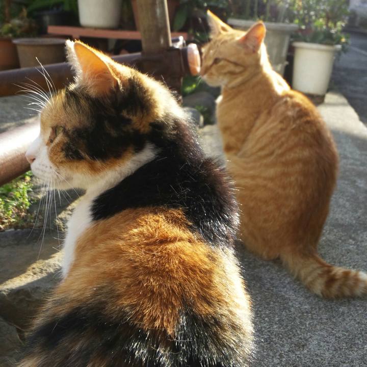 575f8553 3c0b 42c0 808c cc05645f02f9