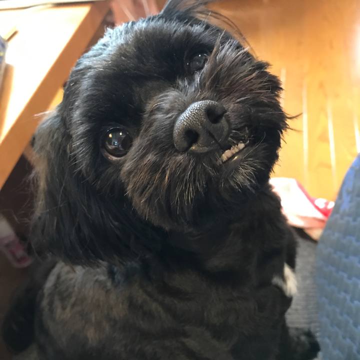 575f923a 700f 469c be44 87cdb5d4470e